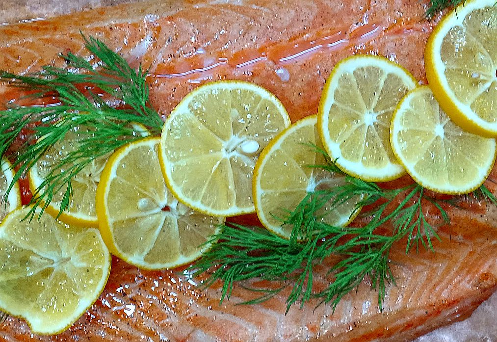 salmon